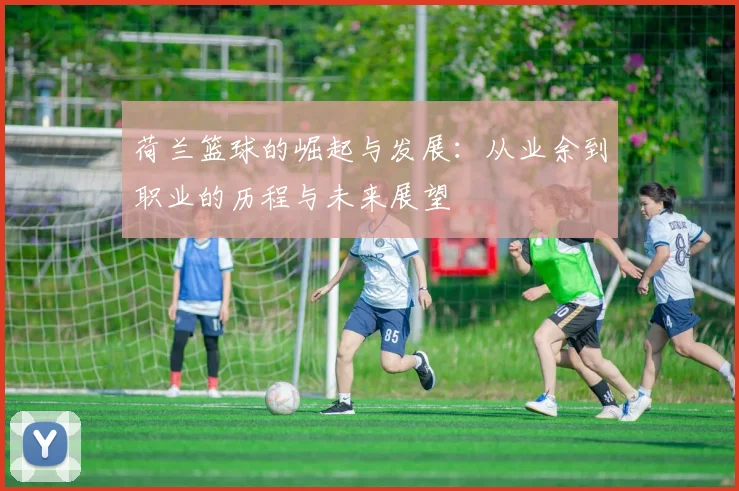 荷兰篮球的崛起与发展：从业余到职业的历程与未来展望