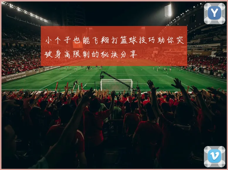 小个子也能飞翔打篮球技巧助你突破身高限制的秘诀分享