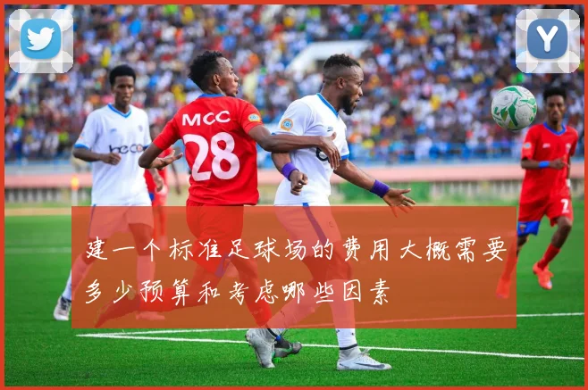 建一个标准足球场的费用大概需要多少预算和考虑哪些因素