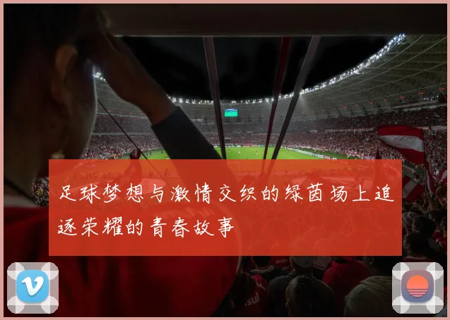 足球梦想与激情交织的绿茵场上追逐荣耀的青春故事
