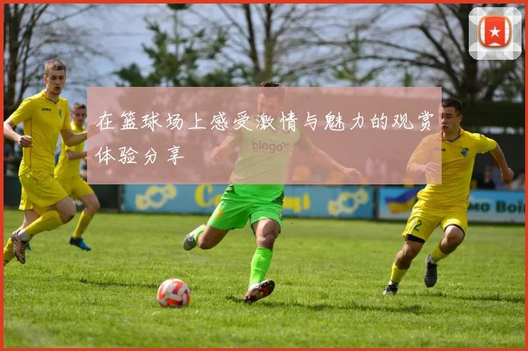 在篮球场上感受激情与魅力的观赏体验分享