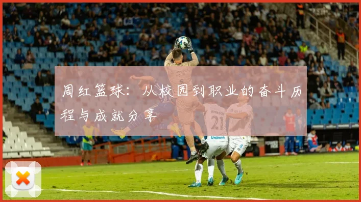 周红篮球：从校园到职业的奋斗历程与成就分享