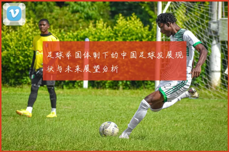 足球举国体制下的中国足球发展现状与未来展望分析